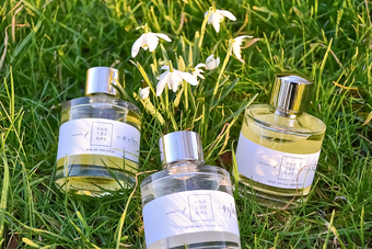 Three Perfumes in grass fields