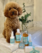 Barley our top model dog who featured in Tatler Magazine showing off our Snooboos Natural Dog Spa Products