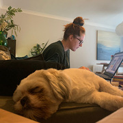 working from home