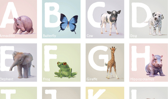Animal alphabet print