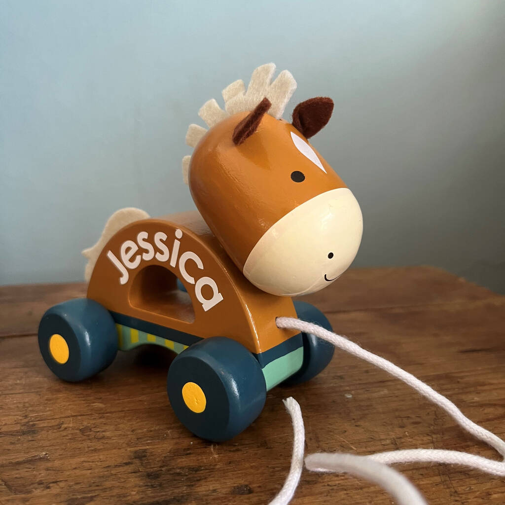 Personalised Pull Along And Push Along Animals