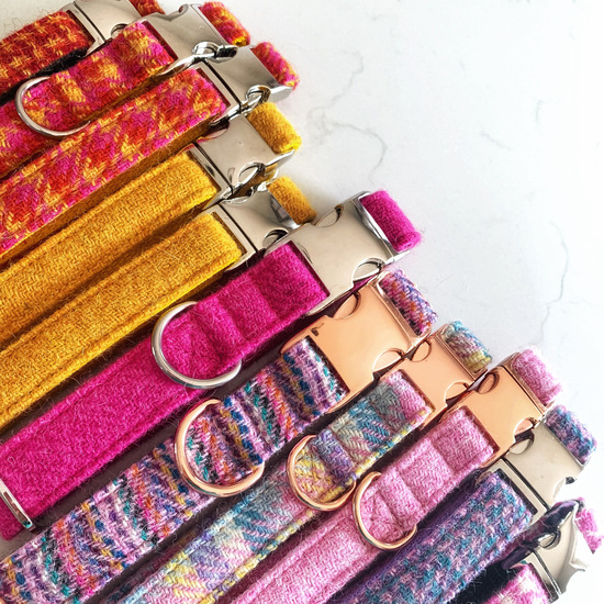 Harris TWeed dog collars