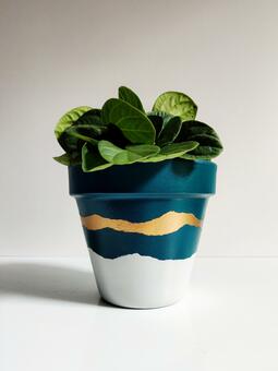 colourful plant pot