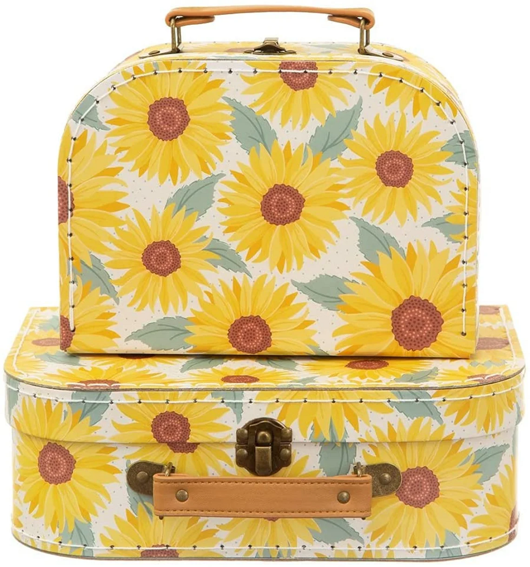 Suitcases Set Of Two