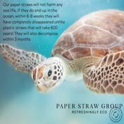 Environmental Paper Straws