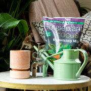 Our ultimate houseplant gift set