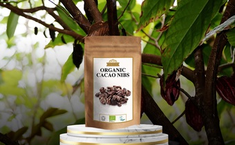 Organically Grown Cacao Plantation used in preparing our Organic Cacao Nibs
