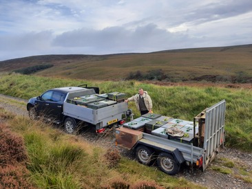 Moving bees in Scotland