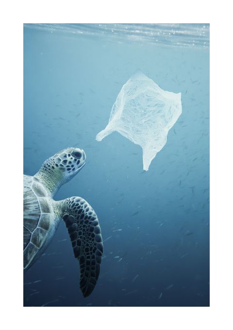 Turtle Bags | Storefront | notonthehighstreet.com