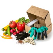 Vegetable seeds Gardening Gifts for him