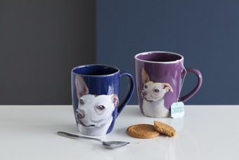 Double dog mug order 