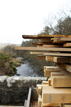 Collecting our oak from Dartmoor