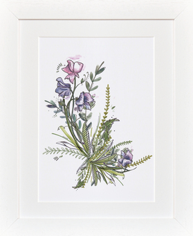 Watercolour Flower Illustration
