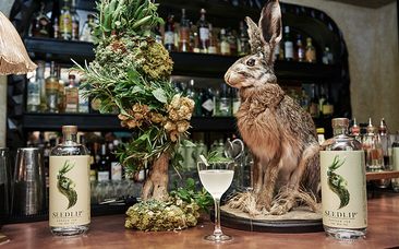 Bar Hare Seedlip 