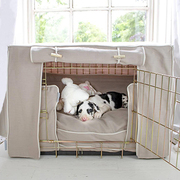 Great Dane puppy in oatmeal dog crate set