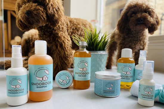 Snooboos Poodles getting involved with some product shots