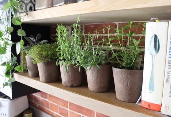 Box of herbs with contents