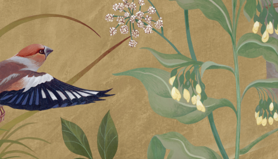 Hand illustrated images of aBird flying into beautiful foliage and flowers 