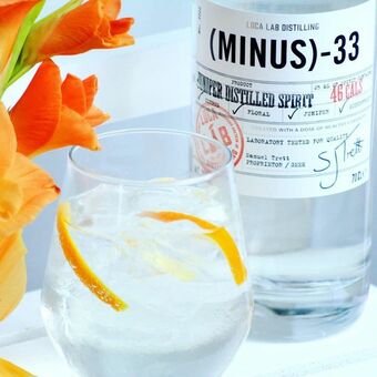 The perfect Gin serve, recommended with an orange wedge to garnish, 1 of your 5 a day