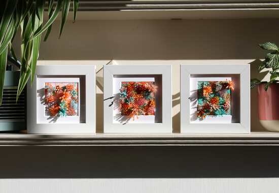 imogen melissa, framed embroideries