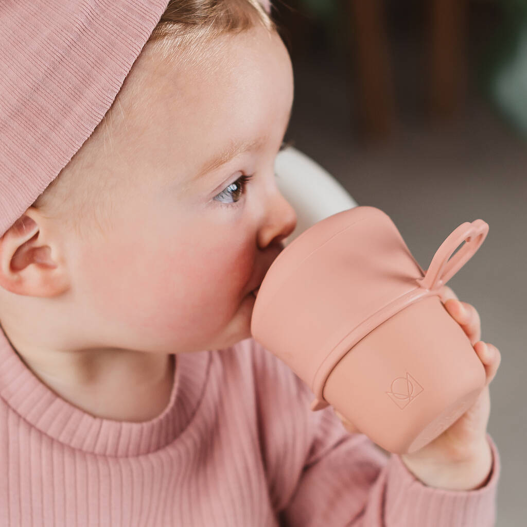 Two In One Sippy Cup And Lid