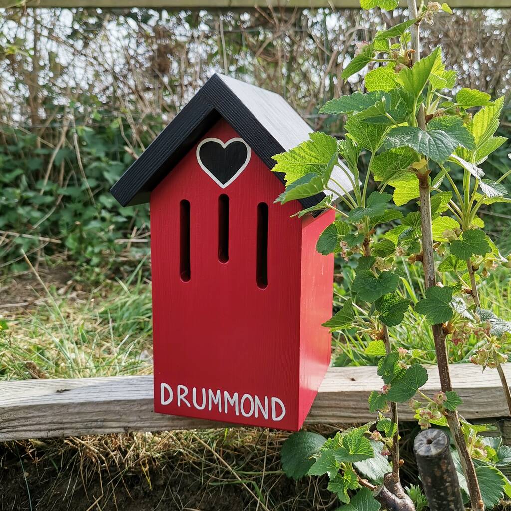 Love Heart Personalised Butterfly House