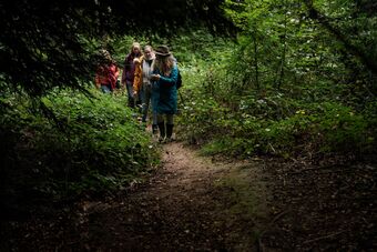 Forest Bathing Guide Tansy Dowman leads group through the woods on a mindful journey
