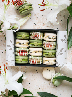 Matcha Connoisseur Collection Summer '21