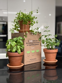 Our Terracotta Herbs Kit