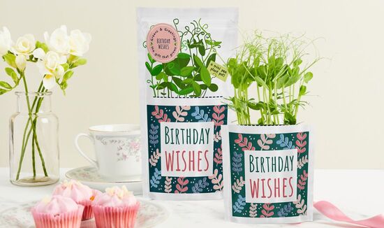 Greens & Greetings - unique and meaningful seed gifts that grow tasty microgreens
