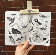 A hand holding a sketchbook which is full of pen and ink illustrations of birds