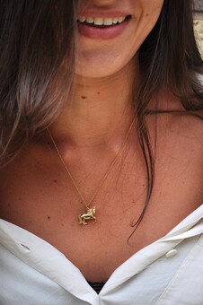 Little Pony Necklace - Diamond Eyes - 18ct Gold Plated