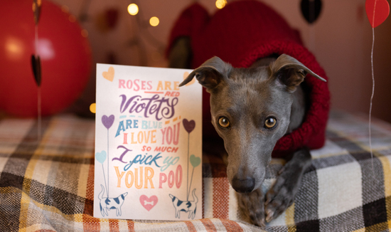 Valentines card and Whippet