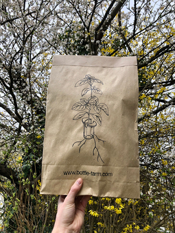 Hand printed grass mailer bag