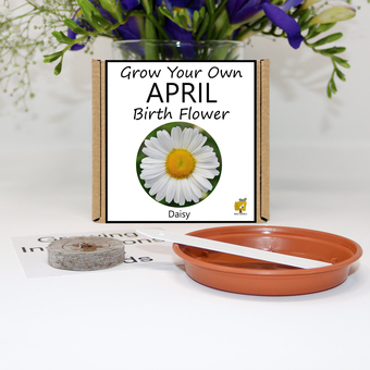 Birth flower gifts