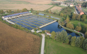 Sustainable Sturgeon Farm in Northern Italy