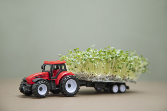 Micro greens
