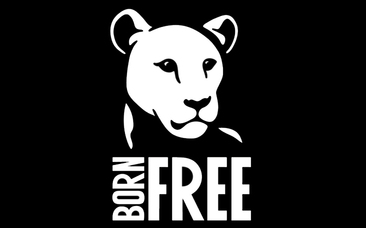 Born Free Logo