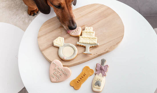 Fluff & Crumble Iced Dog Biscuit Set