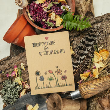 Recycled seed packet for butterflies and bees