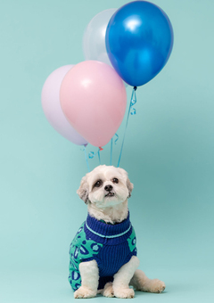 Hotdog Dog Model with Balloons image