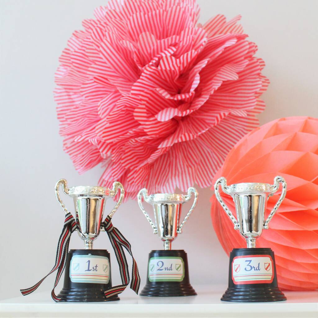 Set Of Three Sports Day Trophies