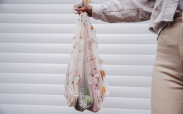 Tulle Embroidered bags