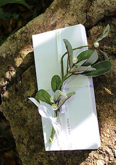 one sprig of mistletoe on white box on rock