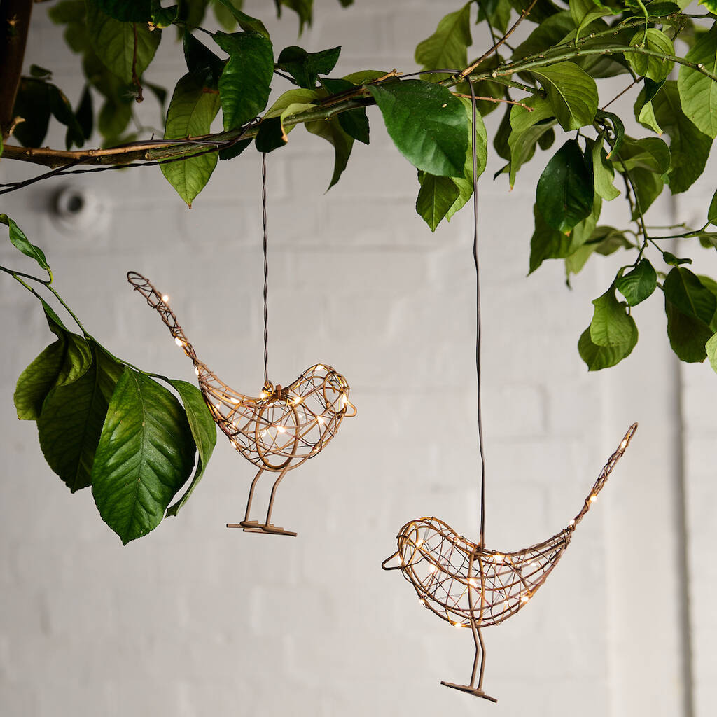 Hanging Robin Light