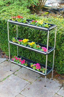 Seed Tray Stand