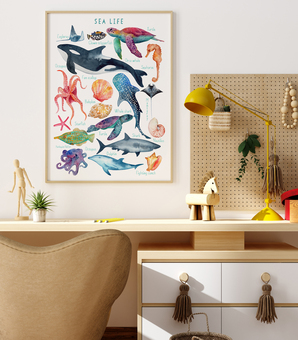 sea life print in wooden frame