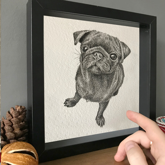 Pet portrait illustrations