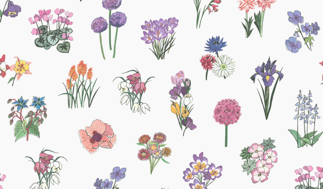 The Botany Club Storefront