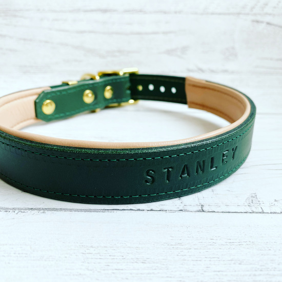 Forest green dog collar with nude padding. "Stanley" embossed into it